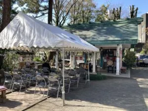 「写真の説明」 宮崎市江平にある熊野神社の春の本殿を写した写真