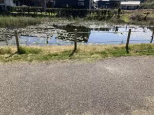 この写真は宮崎賢西都市に鎮座する石貫神社の前にある池の写真です