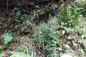 「写真の説明」　新名爪八幡宮の写真06