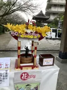 「写真の説明」　甘茶の写真
