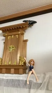 「写真の説明」Be My AI 神棚のような木製の飾り棚の上部に、黒と黄色のアゲハチョウがとまっています。棚の下には、紺色のスクール水着を着た人形が座っていて、片手を上げています。背景は白い壁で、全体的に室内の一角が写っています。