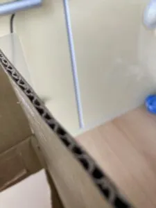 「写真の説明」アゲハのサナギの写真02