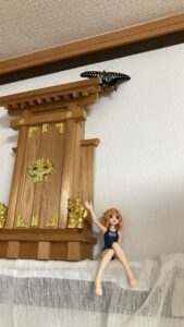 「写真の説明」Be My AI　神棚のような木製の飾り棚の上部に、黒と黄色のアゲハチョウがとまっています。棚の下には、紺色のスクール水着を着た人形が座っていて、片手を上げています。背景は白い壁で、全体的に室内の一角が写っています。