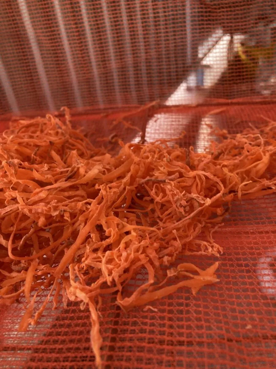 「写真の説明」干し人参の写真