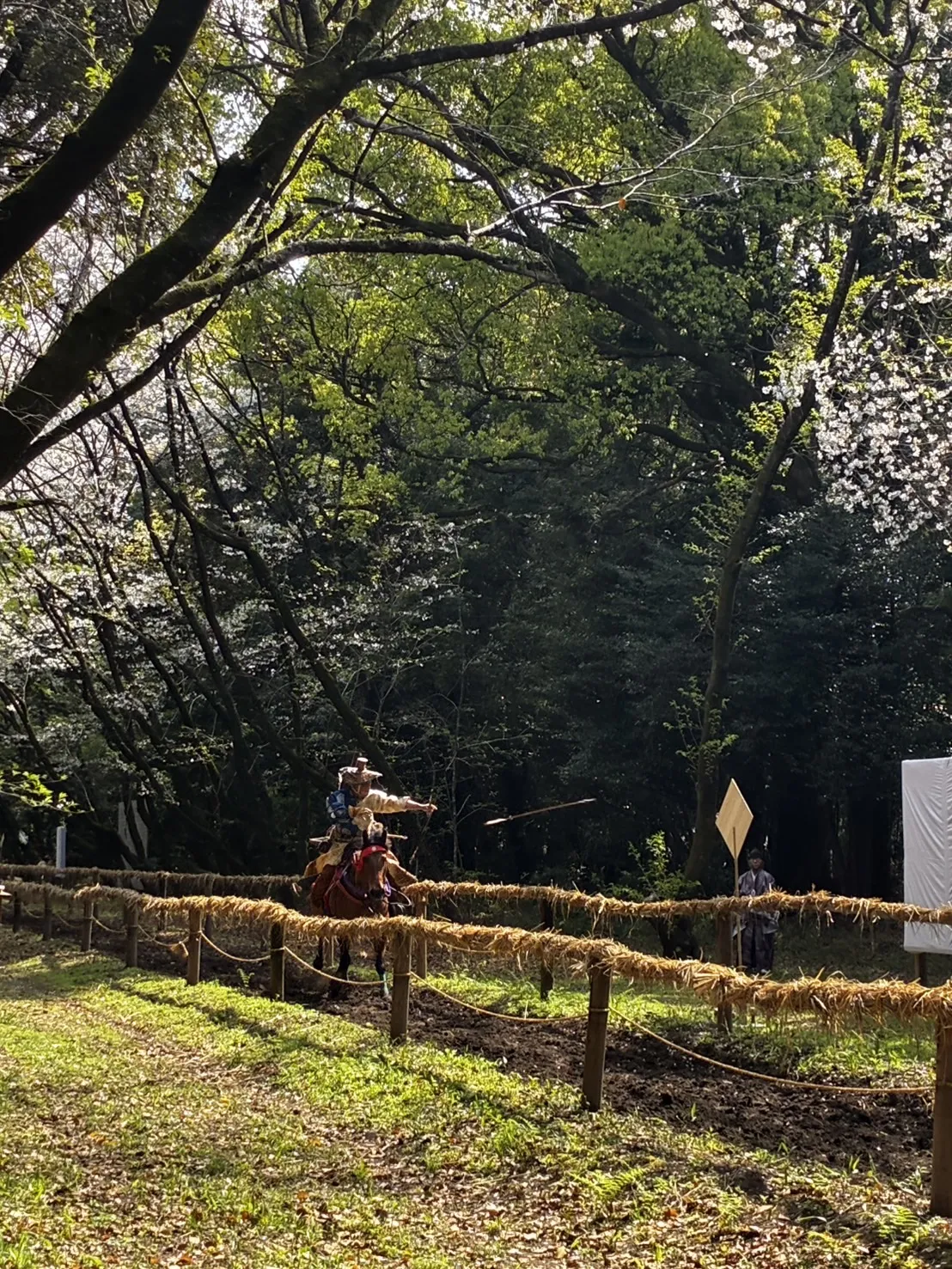 「写真の説明」宮崎神宮の流鏑馬